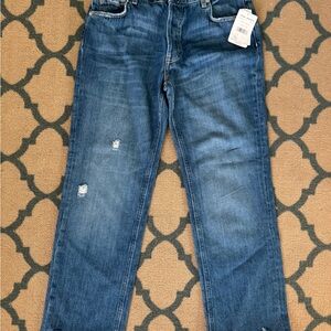 We The Free Women’s  Classic Blue Jeans